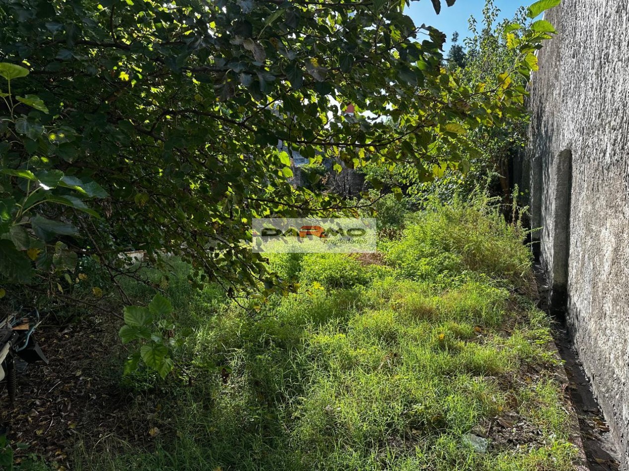 ALQUILER PH 5 AMBIENTES CON GRAN PARQUE - USO COMERCIAL - VILLA LUGANO